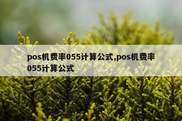 pos机费率055计算公式,pos机费率055计算公式