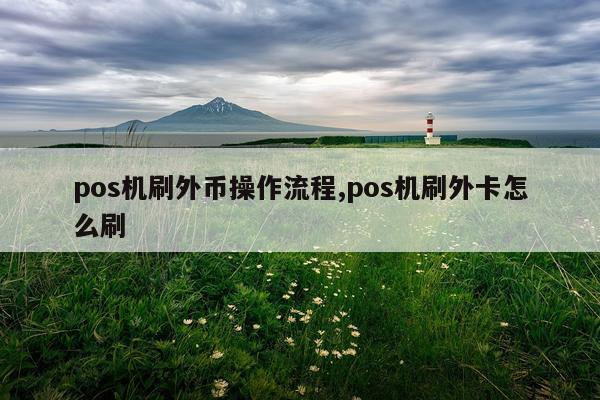 pos机刷外币操作流程,pos机刷外卡怎么刷