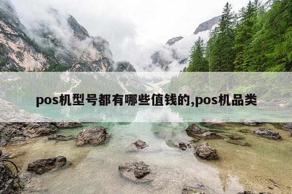 pos机型号都有哪些值钱的,pos机品类
