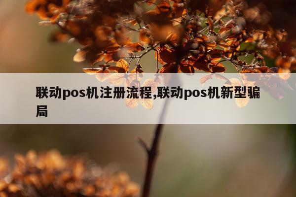 联动pos机注册流程,联动pos机新型骗局