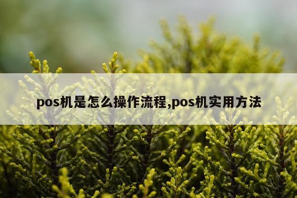 pos机是怎么操作流程,pos机实用方法