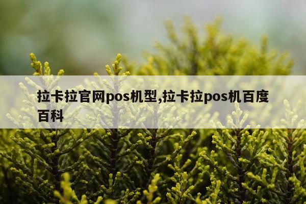 拉卡拉官网pos机型,拉卡拉pos机百度百科