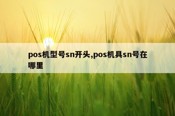 pos机型号sn开头,pos机具sn号在哪里