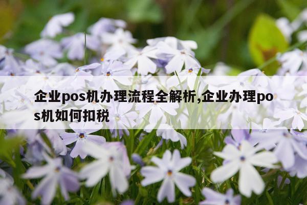 企业pos机办理流程全解析,企业办理pos机如何扣税