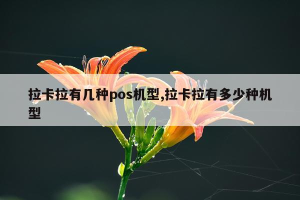 拉卡拉有几种pos机型,拉卡拉有多少种机型