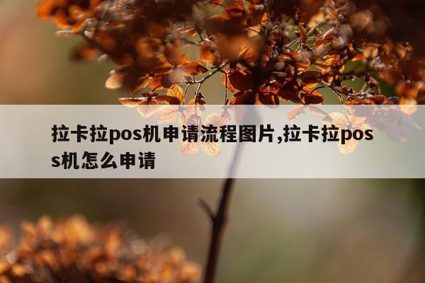 拉卡拉pos机申请流程图片,拉卡拉poss机怎么申请