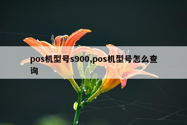 pos机型号s900,pos机型号怎么查询