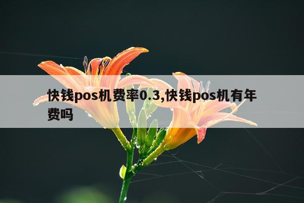 快钱pos机费率0.3,快钱pos机有年费吗