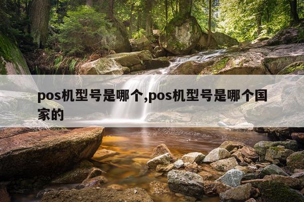 pos机型号是哪个,pos机型号是哪个国家的