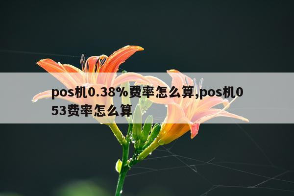 pos机0.38%费率怎么算,pos机053费率怎么算