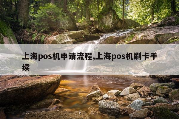 上海pos机申请流程,上海pos机刷卡手续