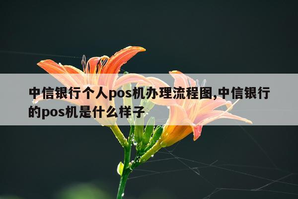 中信银行个人pos机办理流程图,中信银行的pos机是什么样子