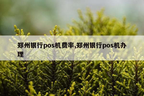郑州银行pos机费率,郑州银行pos机办理