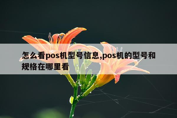 怎么看pos机型号信息,pos机的型号和规格在哪里看