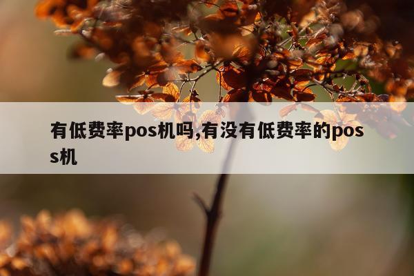 有低费率pos机吗,有没有低费率的poss机