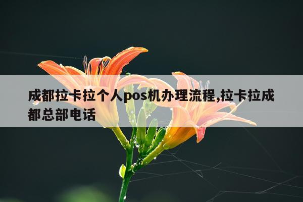 成都拉卡拉个人pos机办理流程,拉卡拉成都总部电话