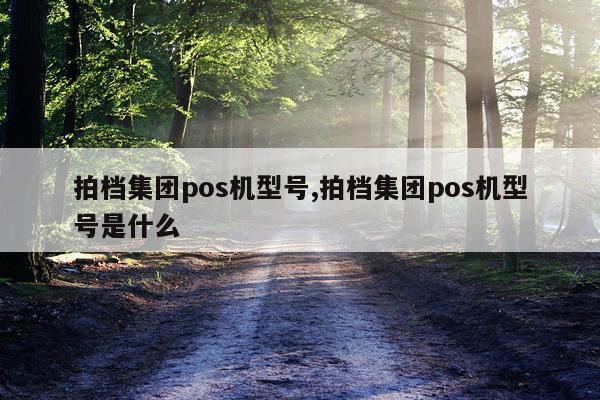 拍档集团pos机型号,拍档集团pos机型号是什么