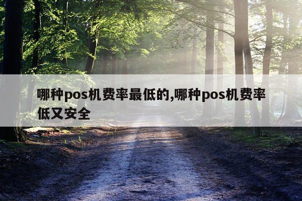 哪种pos机费率最低的,哪种pos机费率低又安全