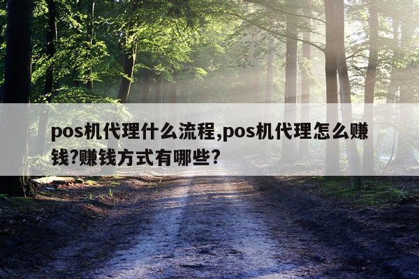 pos机代理什么流程,pos机代理怎么赚钱?赚钱方式有哪些?