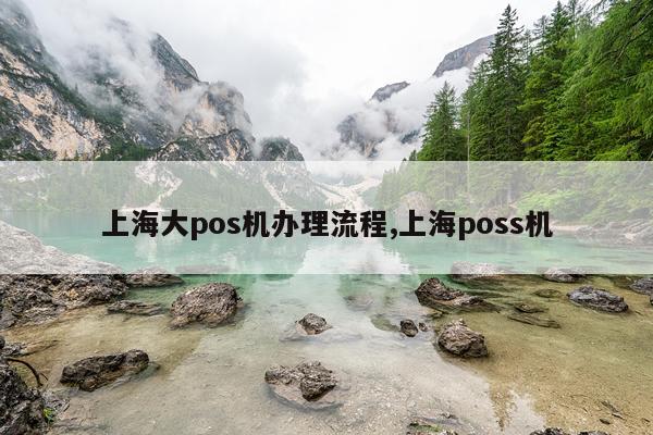上海大pos机办理流程,上海poss机