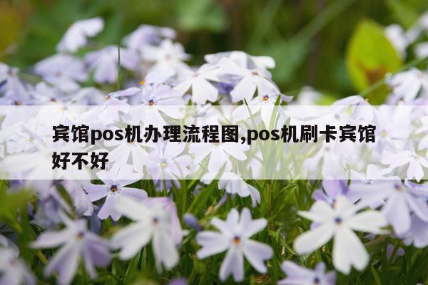 宾馆pos机办理流程图,pos机刷卡宾馆好不好