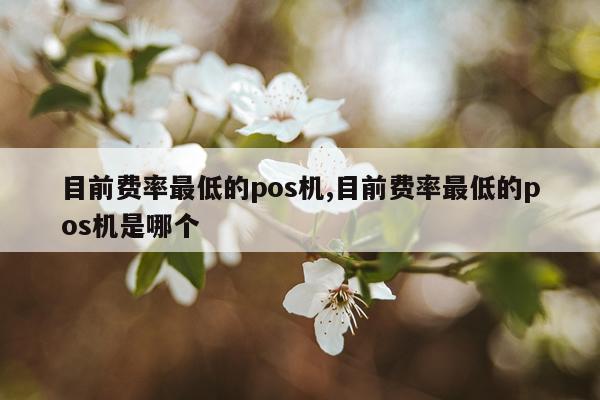 目前费率最低的pos机,目前费率最低的pos机是哪个