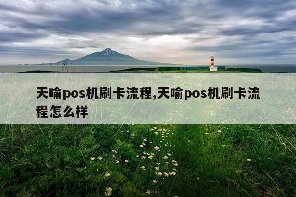 天喻pos机刷卡流程,天喻pos机刷卡流程怎么样