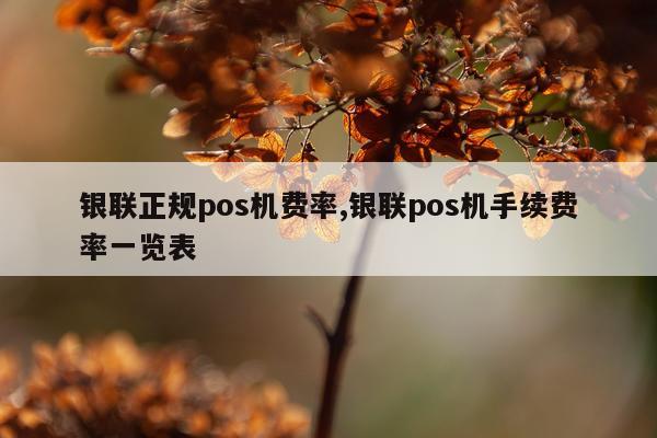 银联正规pos机费率,银联pos机手续费率一览表