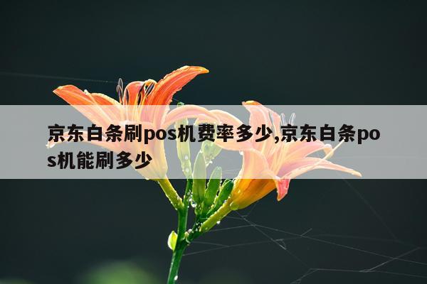 京东白条刷pos机费率多少,京东白条pos机能刷多少