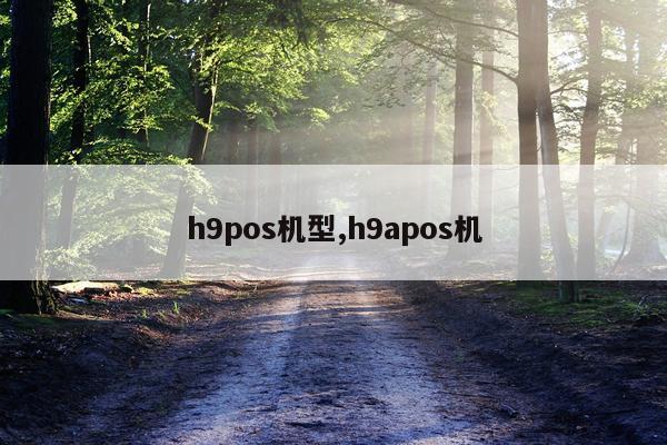 h9pos机型,h9apos机
