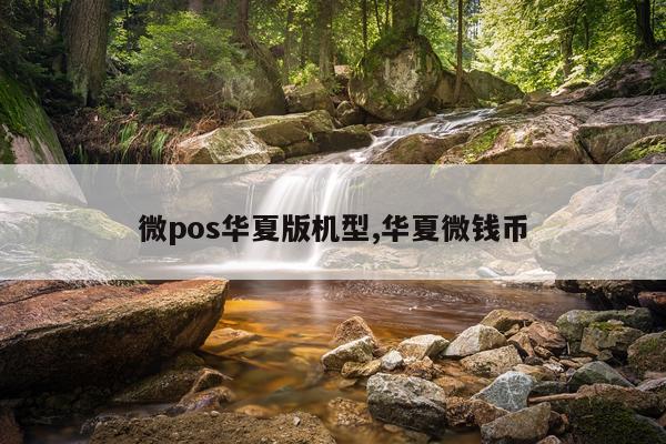 微pos华夏版机型,华夏微钱币