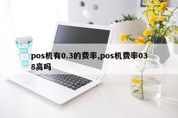pos机有0.3的费率,pos机费率038高吗
