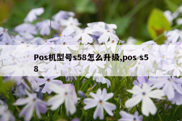 Pos机型号s58怎么升级,pos s58