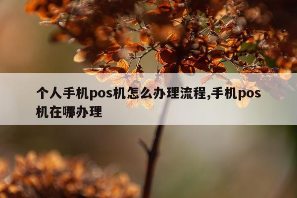 个人手机pos机怎么办理流程,手机pos机在哪办理