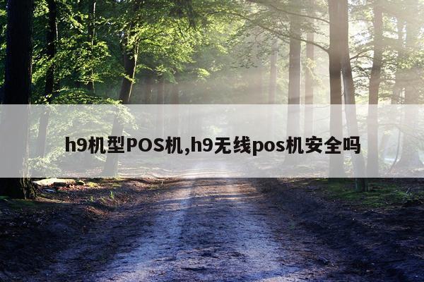 h9机型POS机,h9无线pos机安全吗
