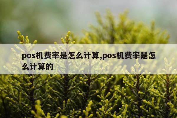 pos机费率是怎么计算,pos机费率是怎么计算的