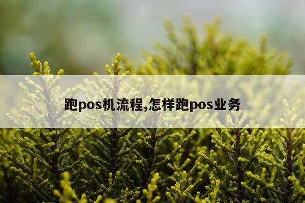 跑pos机流程,怎样跑pos业务
