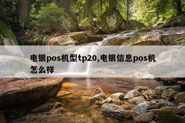 电银pos机型tp20,电银信息pos机怎么样