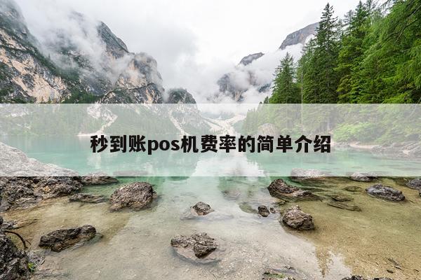 秒到账pos机费率的简单介绍