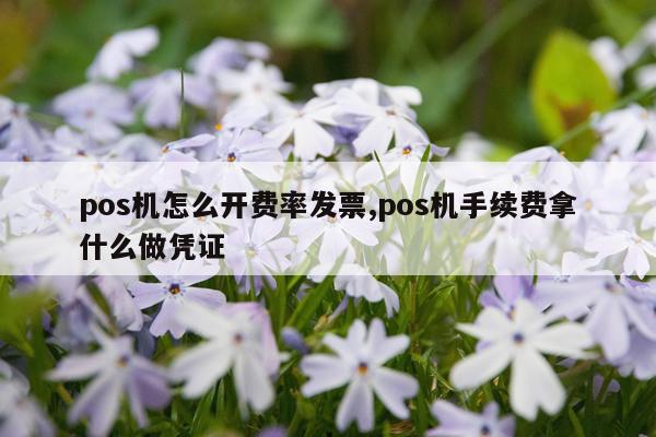 pos机怎么开费率发票,pos机手续费拿什么做凭证