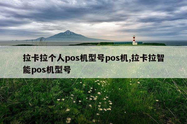 拉卡拉个人pos机型号pos机,拉卡拉智能pos机型号