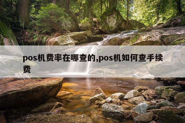 pos机费率在哪查的,pos机如何查手续费