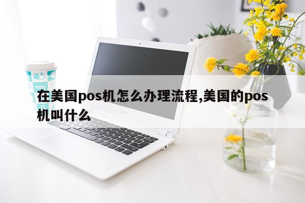 在美国pos机怎么办理流程,美国的pos机叫什么
