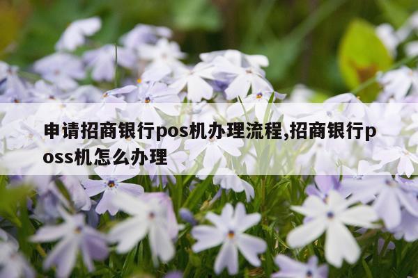 申请招商银行pos机办理流程,招商银行poss机怎么办理