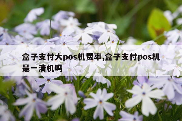 盒子支付大pos机费率,盒子支付pos机是一清机吗