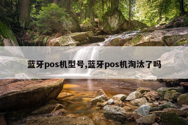 蓝牙pos机型号,蓝牙pos机淘汰了吗