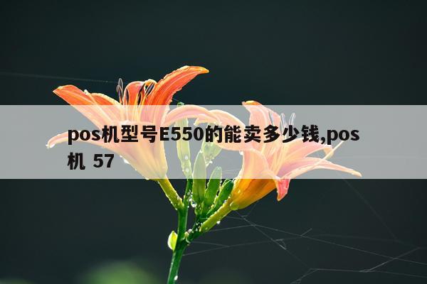 pos机型号E550的能卖多少钱,pos机 57
