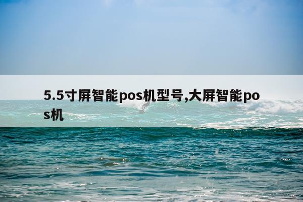 5.5寸屏智能pos机型号,大屏智能pos机