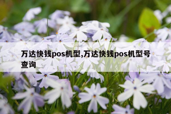 万达快钱pos机型,万达快钱pos机型号查询