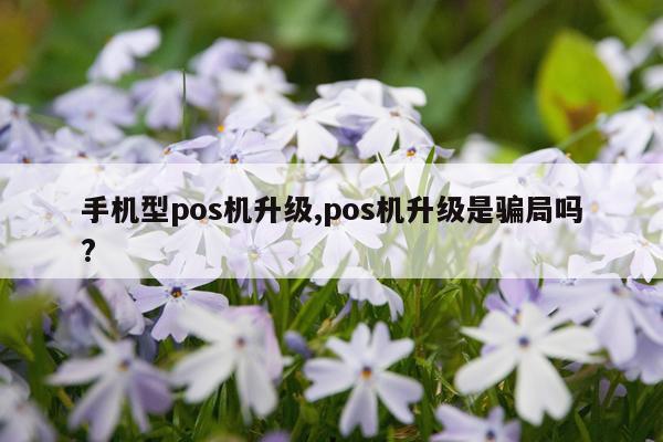 手机型pos机升级,pos机升级是骗局吗?